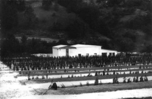 Pogled na novozgrajeno pokopališče v Podkraju leta 1968.