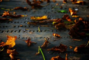 Ureditev groba po projektu strokovnjaka v vrednosti do 200 evrov ureditev_groba